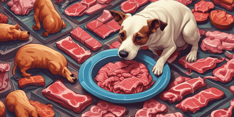 Short Story: The Two Dogs and the Piece of Meat