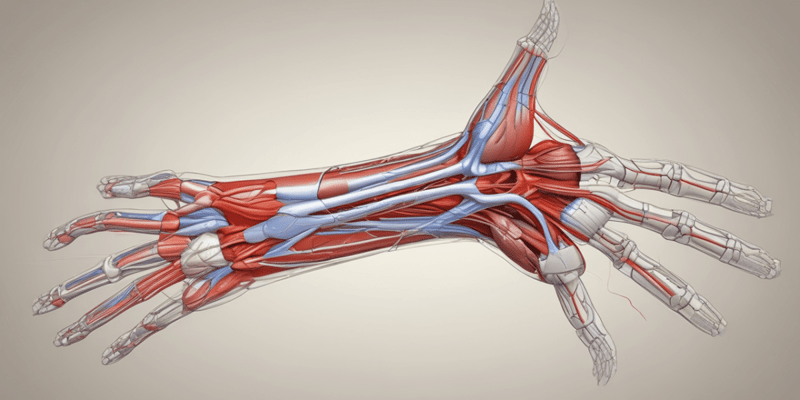 Ninja Nerd - Circulatory System | Arteries of the Upper Limb | Flow Chart