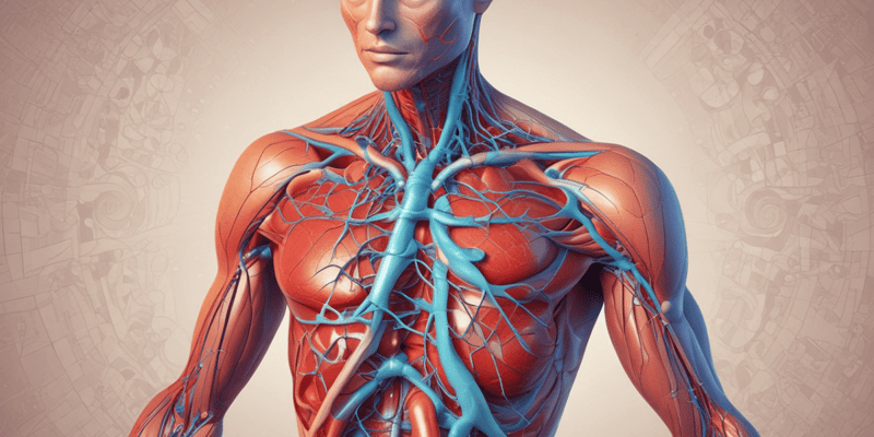 Biology Quiz: Heart Valves and Blood Circulation
