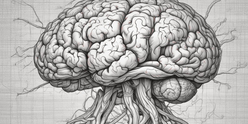 The Telencephalon: Cerebral Cortex and Basal Ganglia