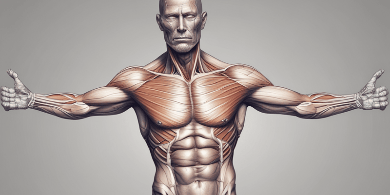 Human Physiology Chapter on Muscle Structure