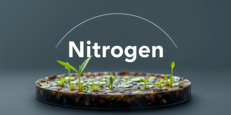 The Nitrogen Cycle Flashcards