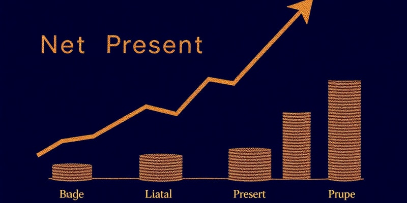 Corporate Finance Fundamentals - Week 2