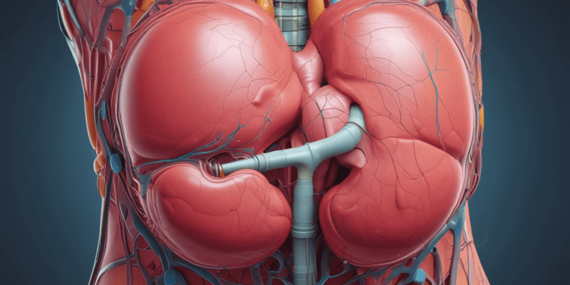 The Urinary System Chapter 25.1: Physical Characteristics of Urine