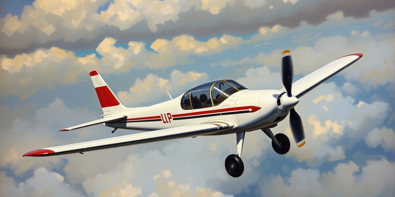 Private Pilot Requirements and Privileges