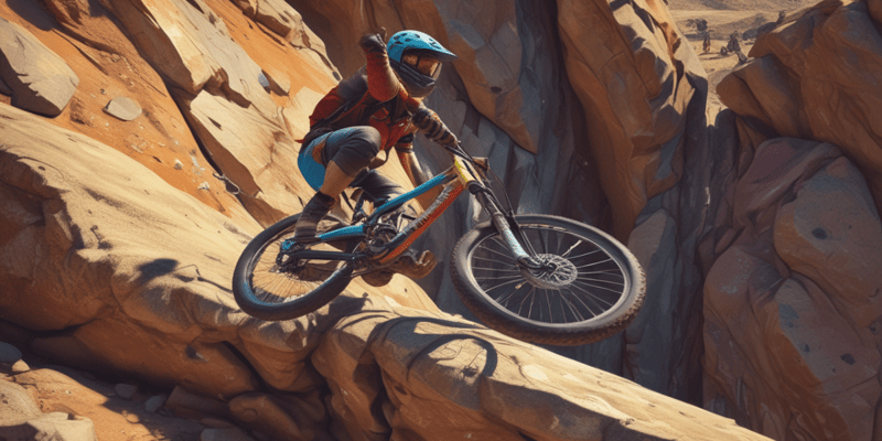 Descenders and Belayers (I'D models S and L) 2.4.1 Specifications