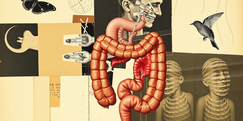 Digestive Systems Quiz