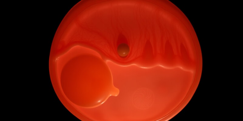 Embryology Overview: Early Development