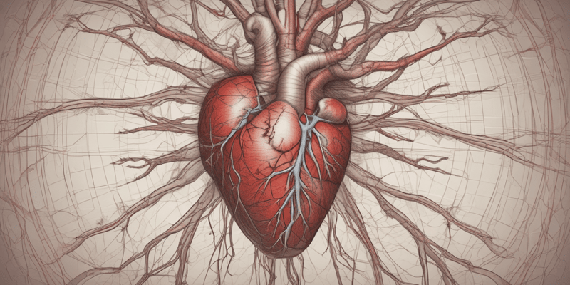 3.1 Anatomy of the Cardiovascular System: Arteries and Veins