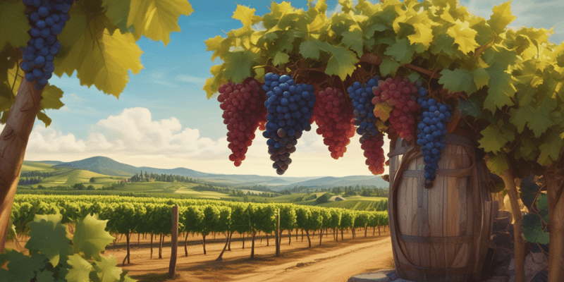 Diplomatura en Sommellerie - Nivel 1: Vinicultura y Procesos de Elaboración de Vinos