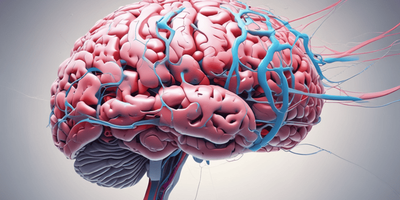 Neuroscience Studies: Basal Ganglia