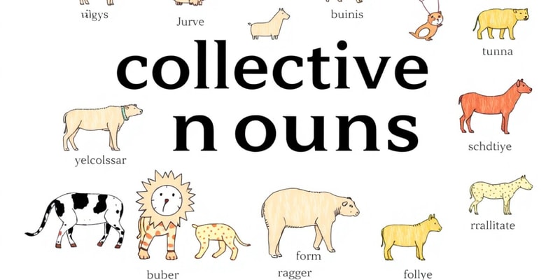 Collective Nouns Quiz