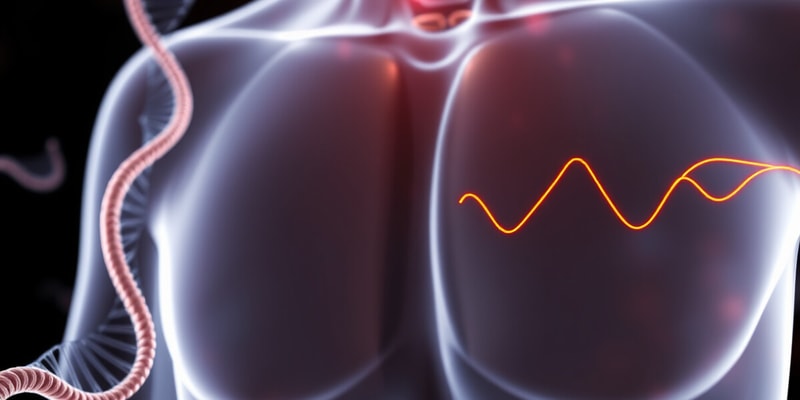 Thyroid Hormone Function and Metabolism