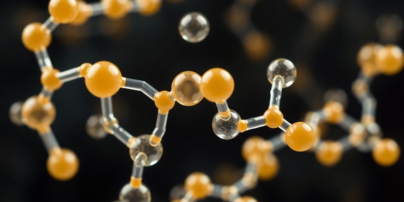 Lipids Classification Quiz