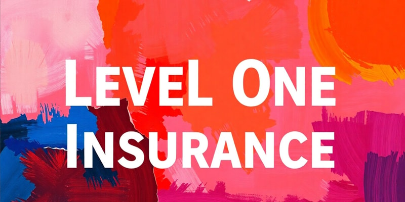 Overview of Level One Insurance