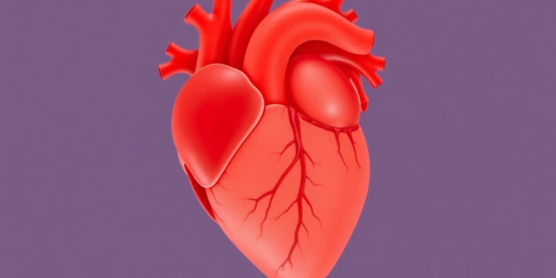 Embryology: Heart and Diaphragm Development