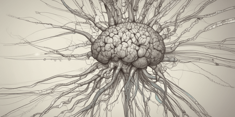 Peripheral and Autonomic Nervous System