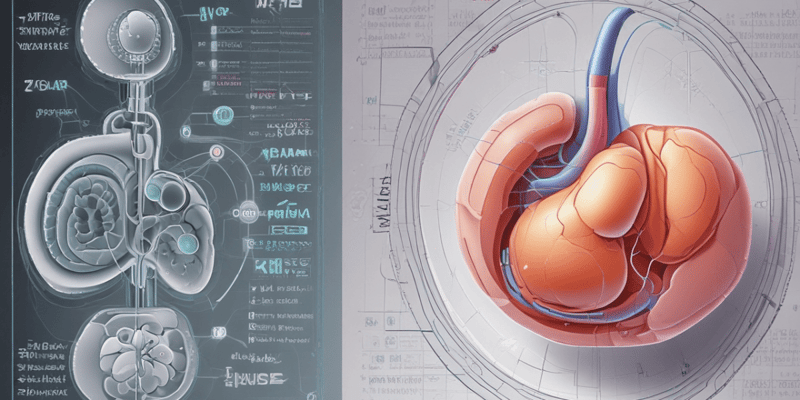 Assessing Tubular Function in Kidneys