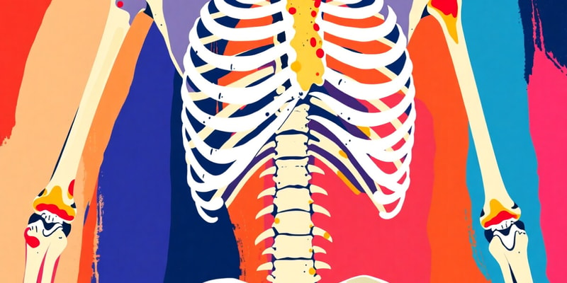 Skeletal Elements and Functions Quiz