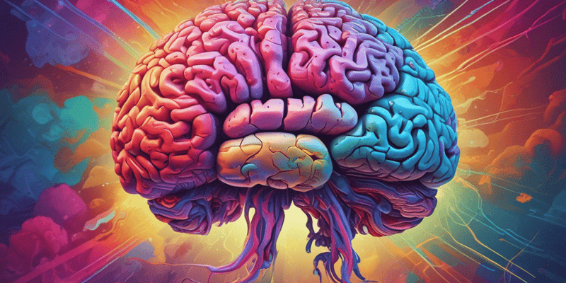 Brain Lobes Functions