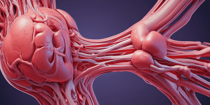 Venous and Arterial Insufficiency Symptoms Quiz