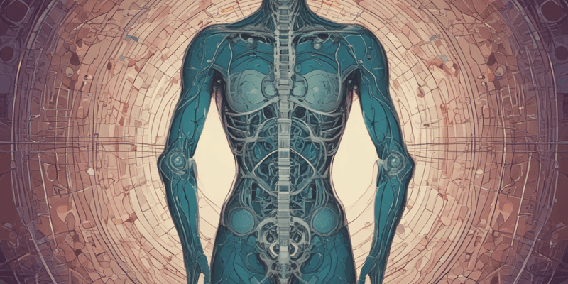 Human Body Structural Organization