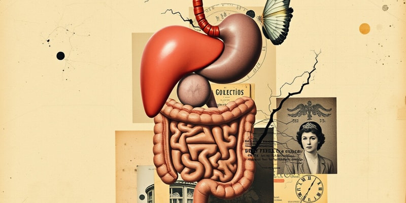 Control of the GI Tract Quiz