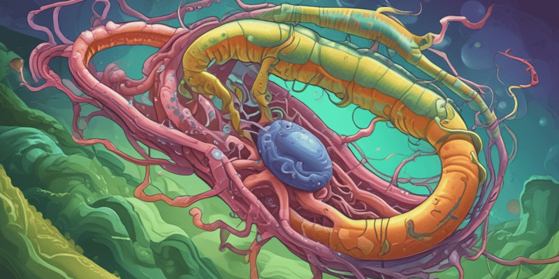 Helicobacter Pylori Infections and Virulence Factors