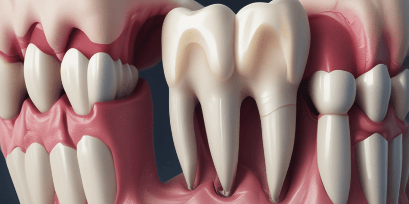 Dental Pulp Structure and Function