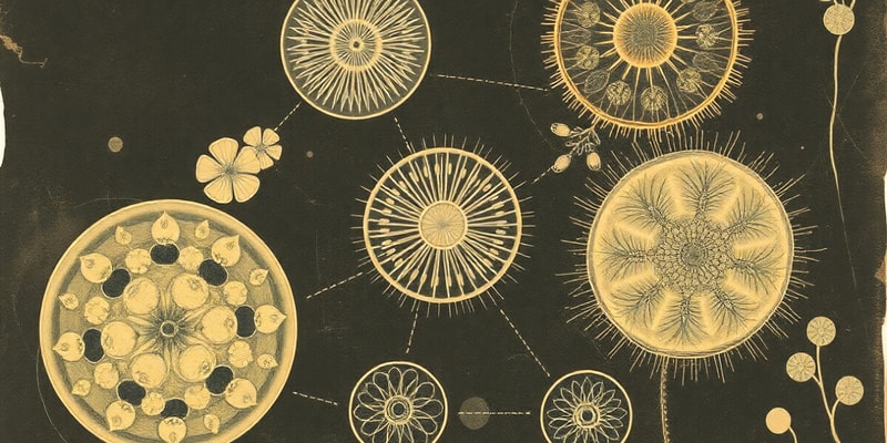 Unit 4 section 1. Chapter 5.1: Unicellular Eukaryotic Parasites (protozoa)