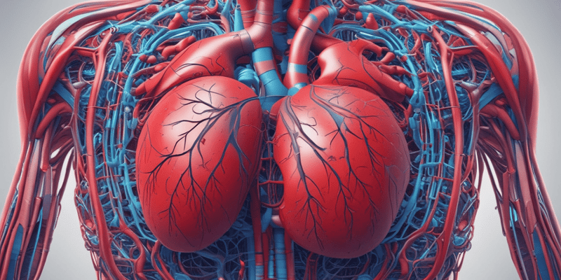 Ch 13 - part 1 Human Circulatory System: Two Circuits Overview