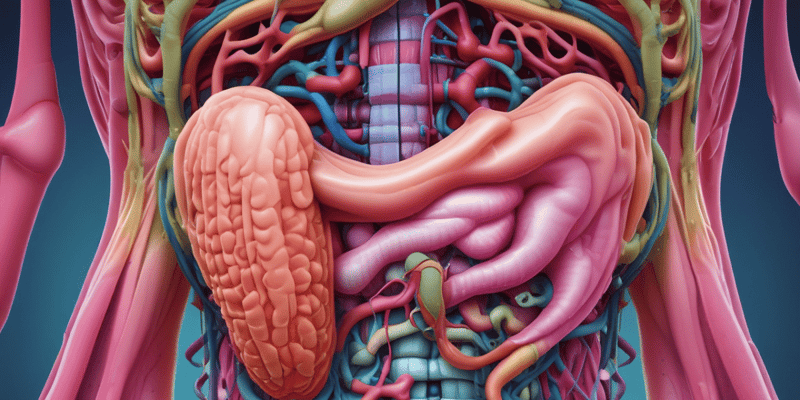 Digestive System Overview