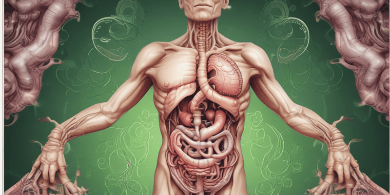 Digestive System Hormones