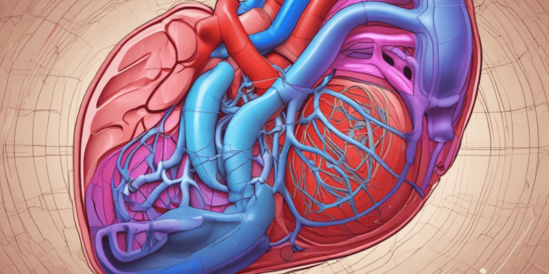 Physiology of Arterial Pressure and Ventricular Function