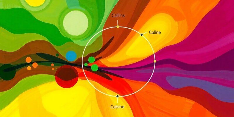 Photosynthesis Overview and Stages