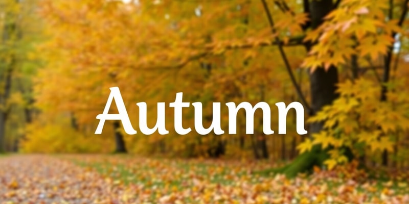 Autumn Vocabulary Quiz