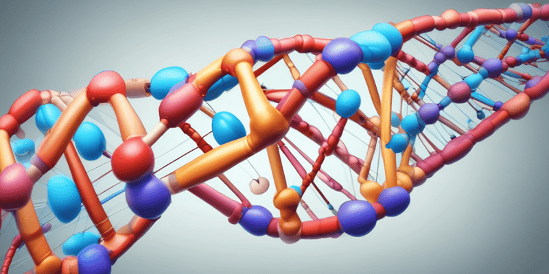 Estructura del ADN