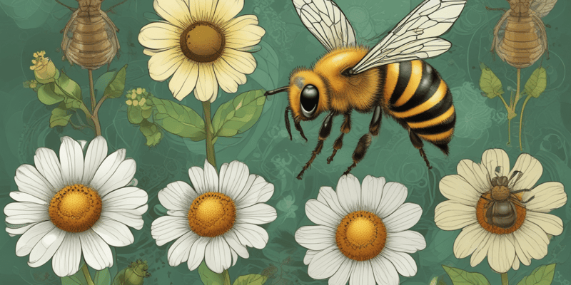El Bee Boost y mantenimiento de abejas