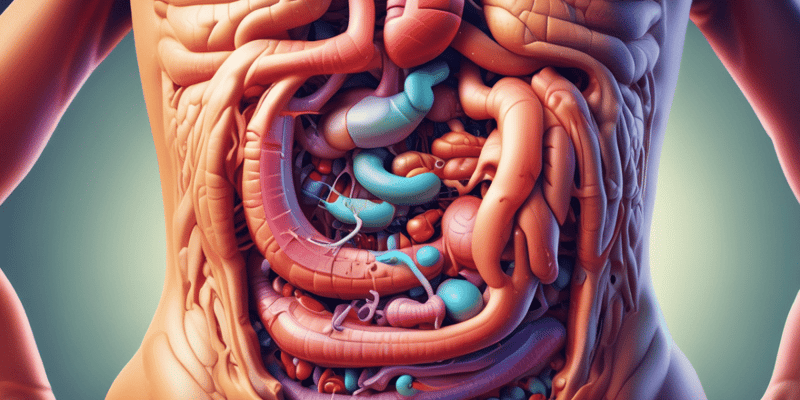 Digestive System Processes Quiz