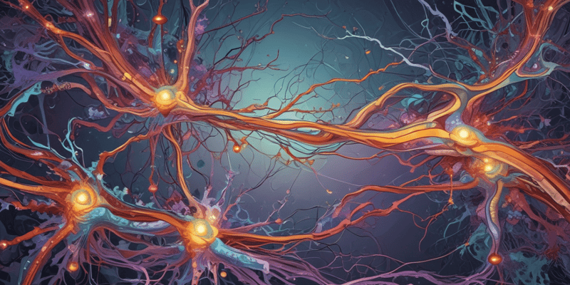 Neurociencia: Sinapsis y Liberación de Neurotransmisores