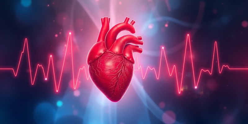 Ventricular Diastole Overview