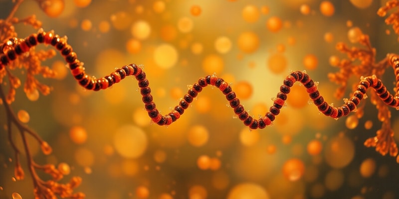 Nucleic Acids and ATP Overview