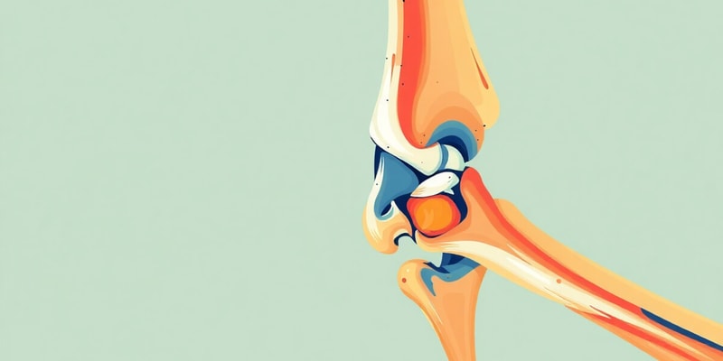 Elbow Joint Anatomy Quiz