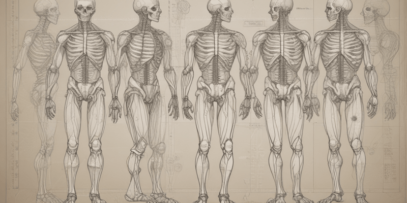 Anatomy: Anatomical Position