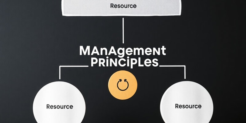 Management Principles Overview