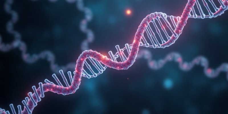 Nucleic Acids: DNA and RNA Structure