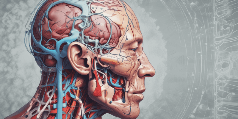 Head Injury: Traumatic Brain Injury Definition and Anatomy