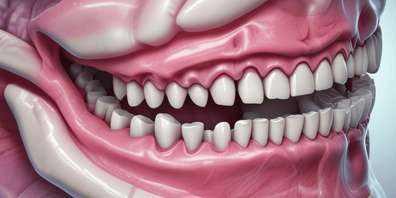 Dental Pulp: Oral Histology