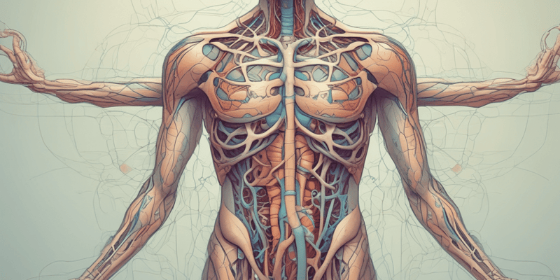 What is Lymphatic System?