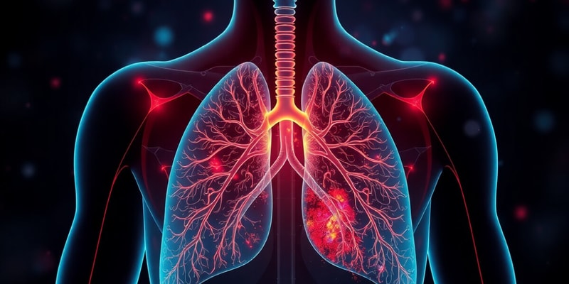 Overview of the Respiratory System